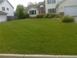 lawn care fertilization service after