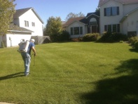lawn fertilization and treatments lawn fertilization and treatments