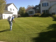 lawn fertilization and treatments