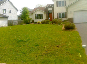 lawn care fertilization before Plymouth
