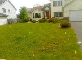 lawn care fertilization before st louis park