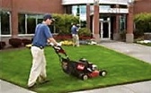 lawn mowing in st louis park