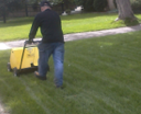 Lawn aeration service